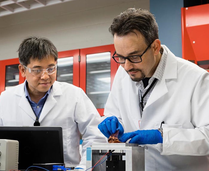 Dois Associados trabalhando em um laboratório.