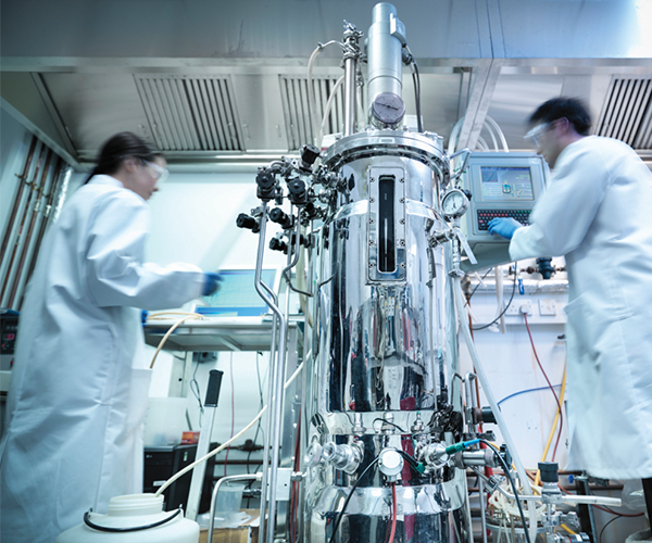 Biorreator usado no processamento farmacêutico e biofarmacêutico